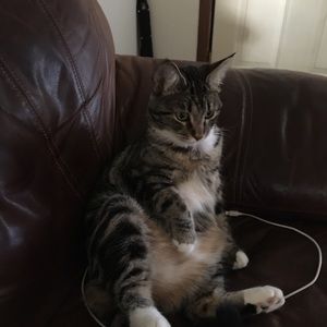 Meet your Posher, Kamie